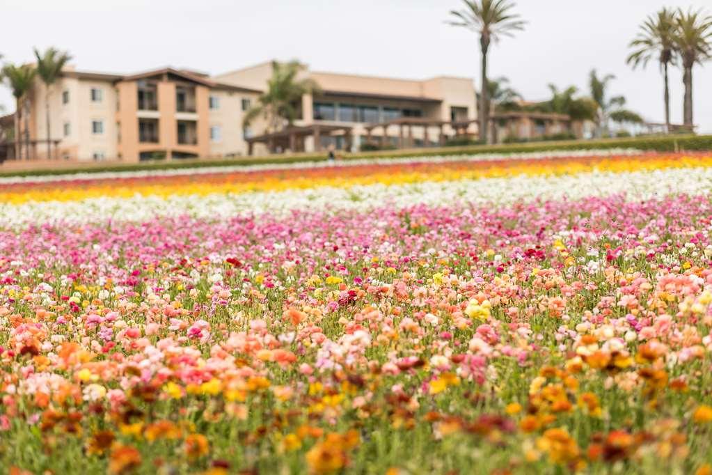 Grand Pacific Palisades Aparthotel 3*