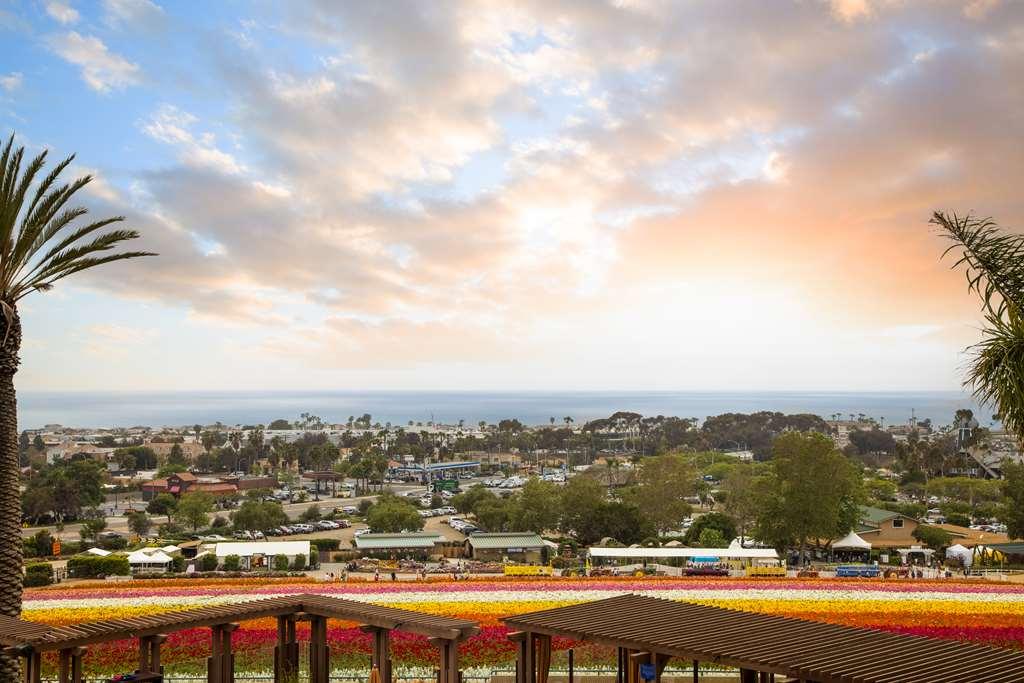 Aparthotel Grand Pacific Palisades Carlsbad