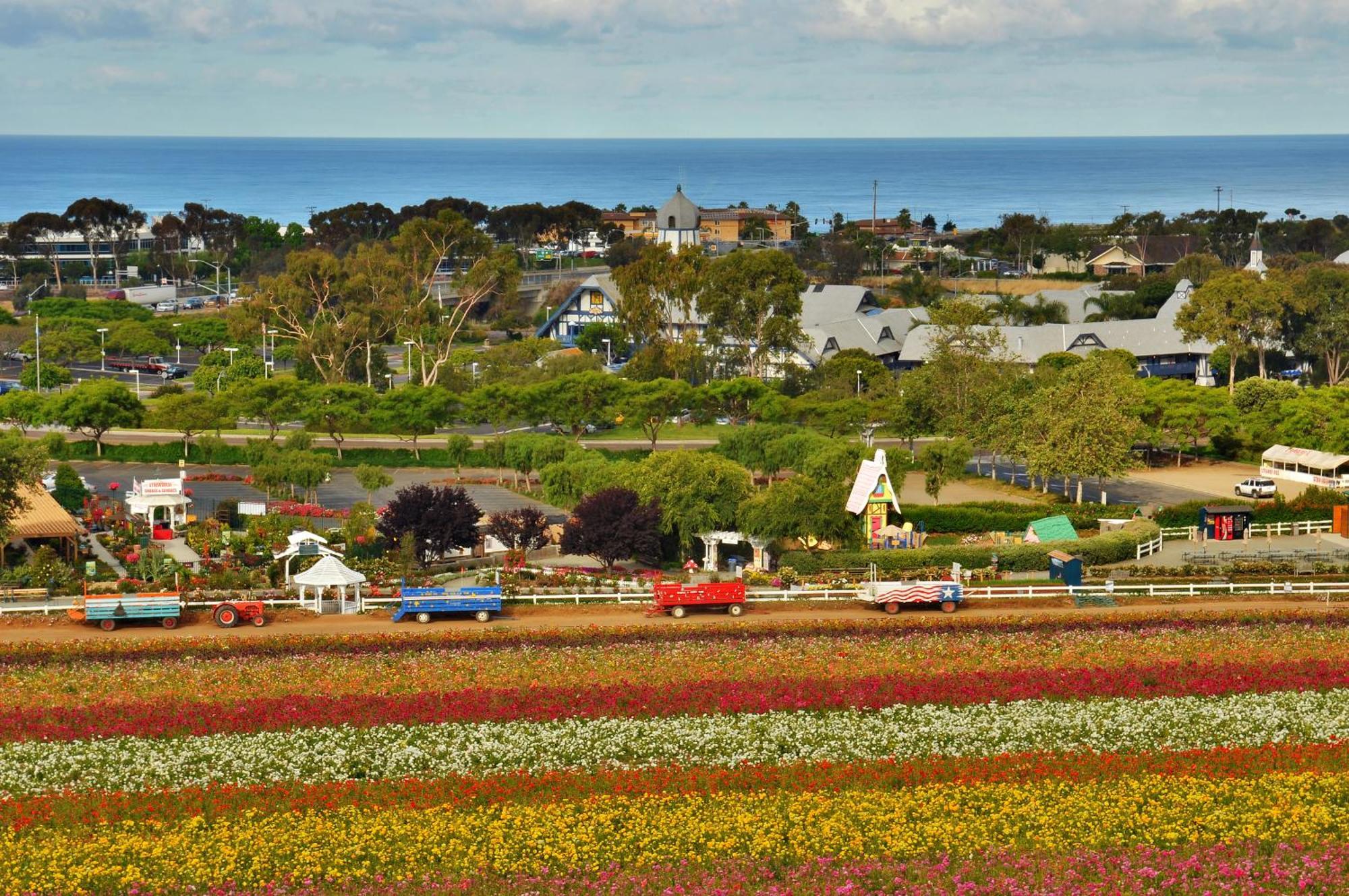 Aparthotel Grand Pacific Palisades Carlsbad